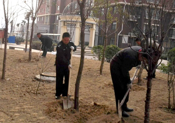 ��ľ����