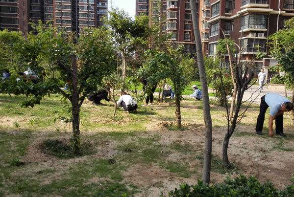 �G���s������