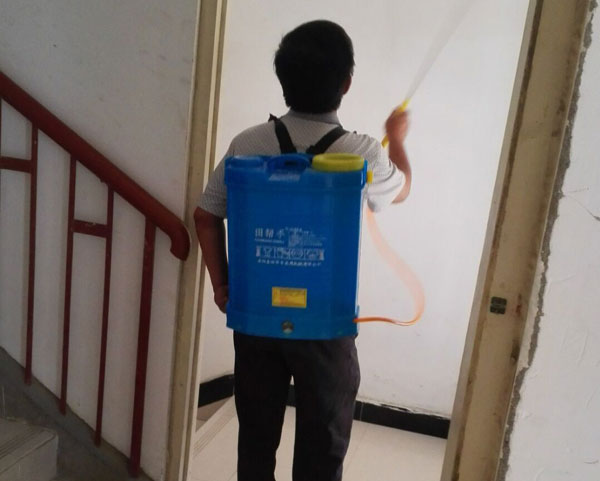 �ǵ�����